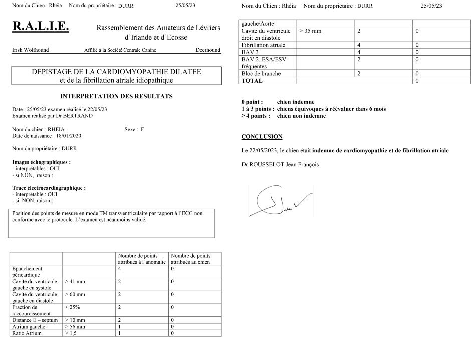 An Telenn Du - Rhéïa indemne de CMD et cotation 4 renouvelée !