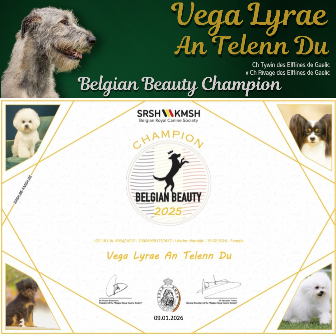 Vega est championne Belge de beauté !