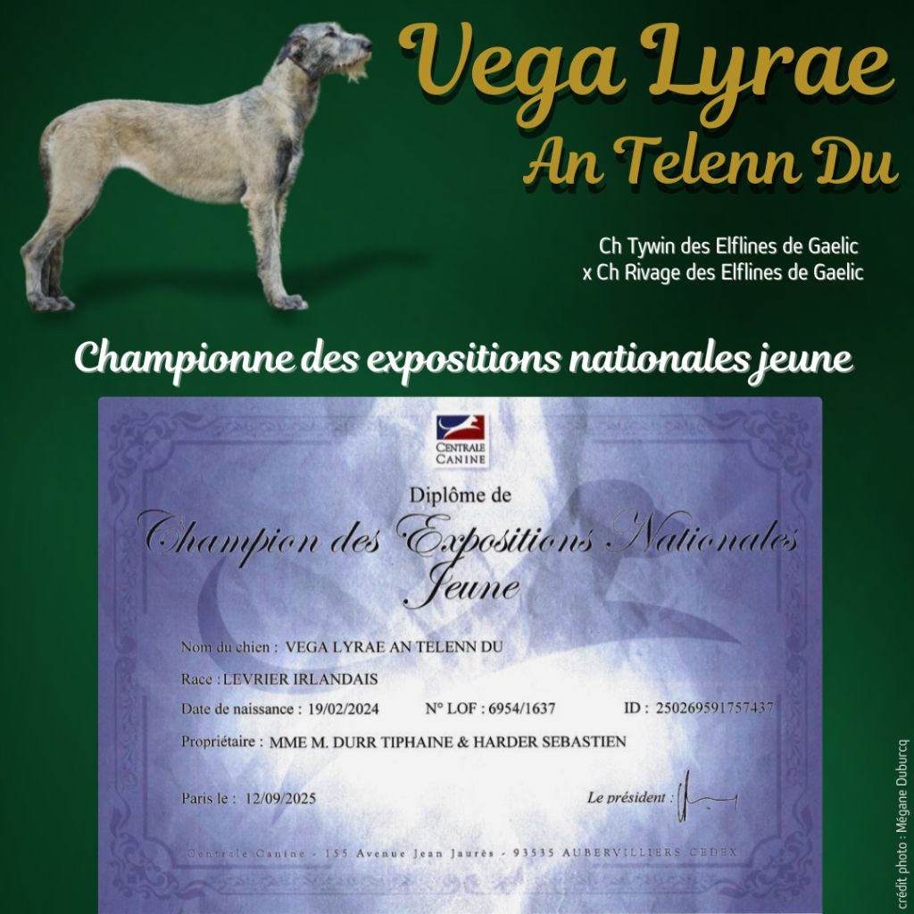 Vega Championne des Expositions Nationales Jeune