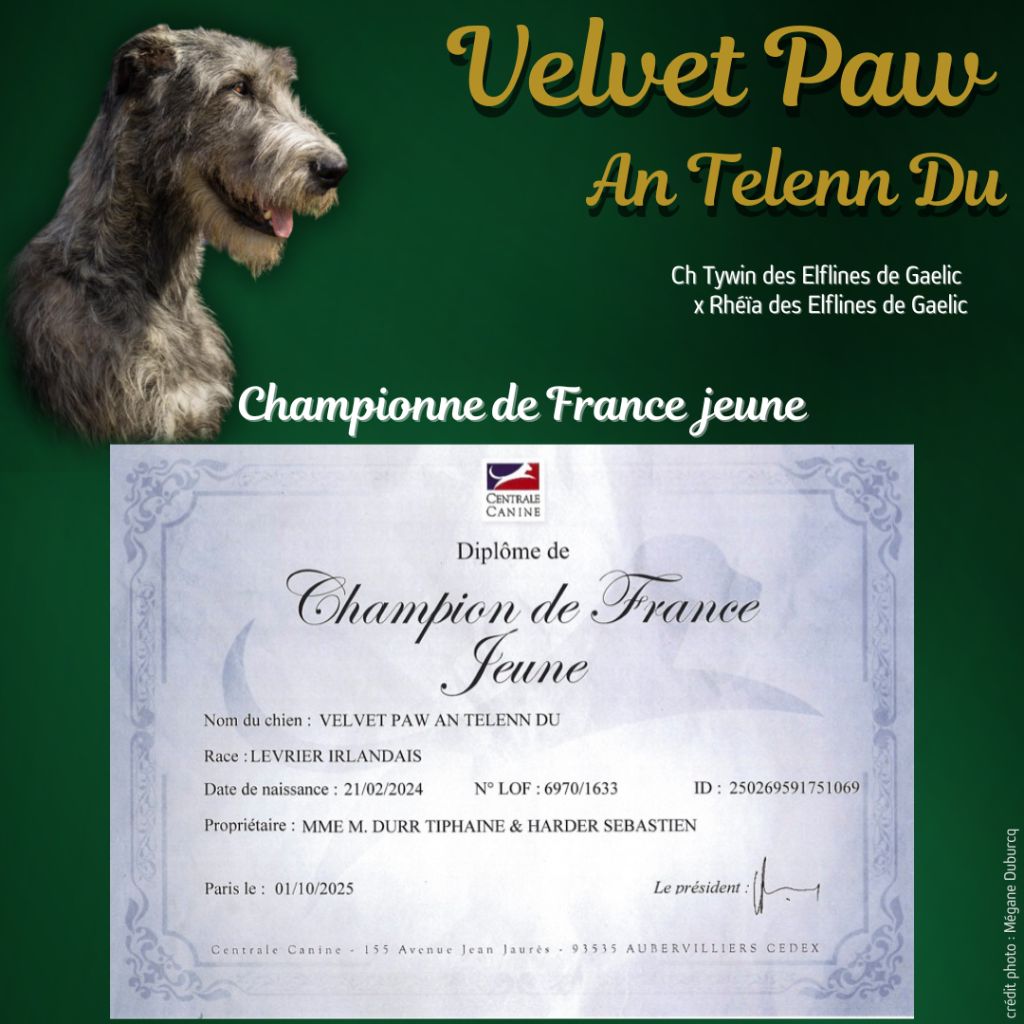 Velvet Championne de France Jeune